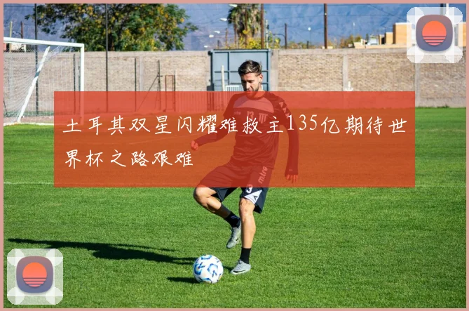 土耳其双星闪耀难救主135亿期待世界杯之路艰难